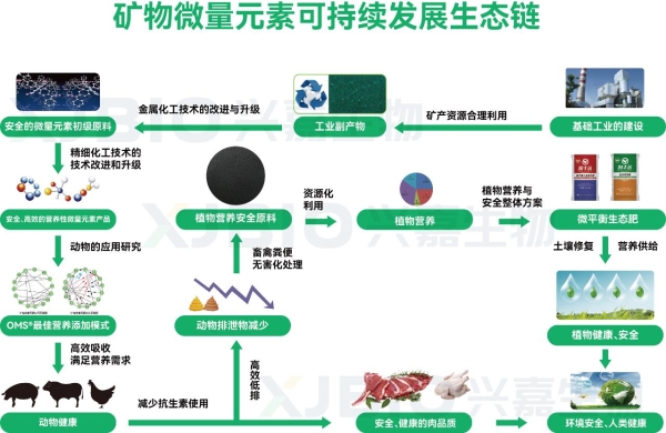 兴嘉生物：让微量元素成为畜牧业可持续发展的绿色引擎
