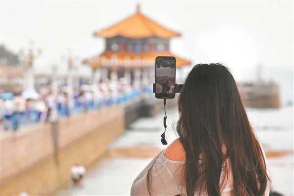 中小旅行社，核销率为啥暴涨了?