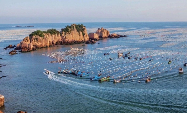 海更蓝了，海鲜肥了，就等你啦！ ——出发打卡嵊泗“蓝鲜”盛宴！ 