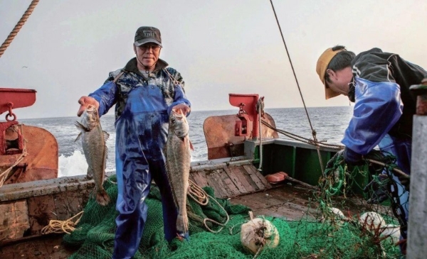 海更蓝了，海鲜肥了，就等你啦！ ——出发打卡嵊泗“蓝鲜”盛宴！ 