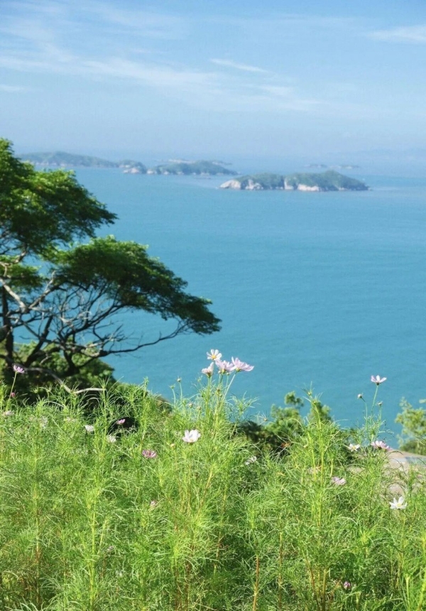 海更蓝了，海鲜肥了，就等你啦！ ——出发打卡嵊泗“蓝鲜”盛宴！ 