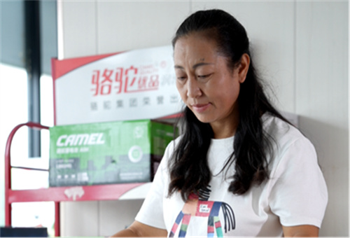 骆驼蓄电池：构建三大支柱，打造经销商共赢生态 