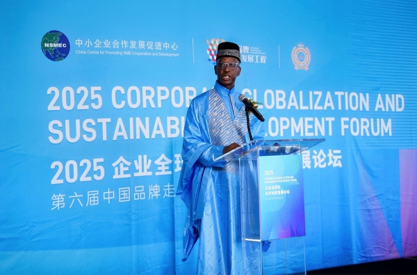 2025企业全球化与可持续发展论坛于联合国总部成功举办 