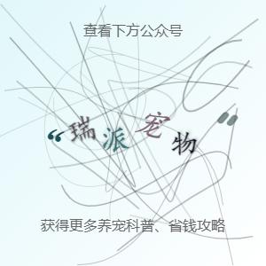 瑞派宠物医生：以仁心守护无言生命，用专业托举宠物健康温情时光 