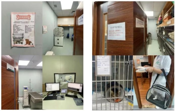 瑞派宠物医生：以仁心守护无言生命，用专业托举宠物健康温情时光 