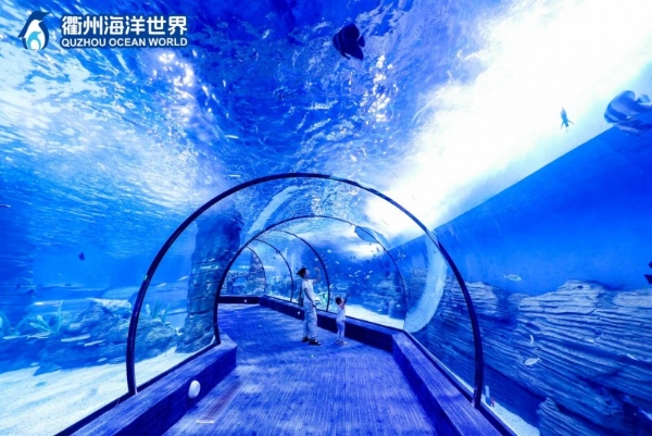 山海情长 同心共富 衢州海洋世界盛大启幕 