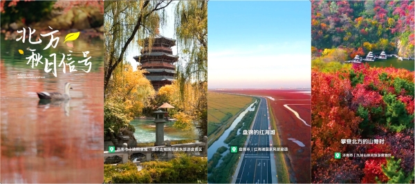 秋色漫山海|赴一场北方秋日盛宴，解锁游玩与消费双重惊喜 