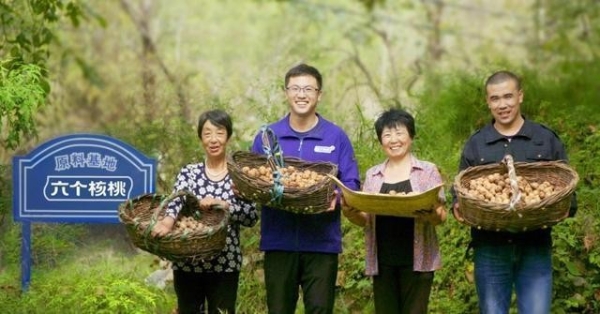 核桃结出 “致富果”，六个核桃产业帮扶铺就农民致富路 