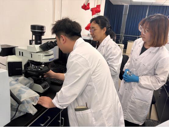 重磅！共生源集团敲钟上市，引领益生菌行业变革 