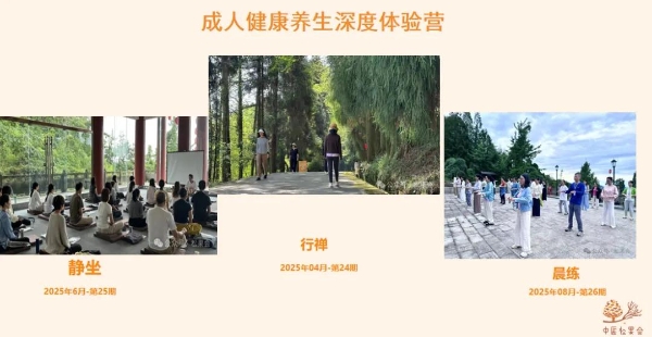 新名字，新服务，羊爸爸中医松果会公益组织更名，世界更大了～ 