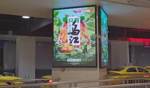 涪陵榨菜 “只有乌江”升级亮相，读懂出行与健康需求 