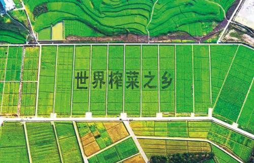 涪陵榨菜 “只有乌江”升级亮相，读懂出行与健康需求 
