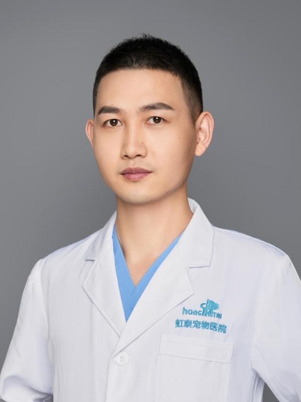 瑞派宠物医生：以精诚骨科匠心，为毛孩子铺就希望的延长线 