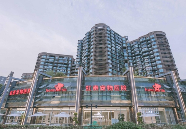 瑞派宠物医生：以精诚骨科匠心，为毛孩子铺就希望的延长线 
