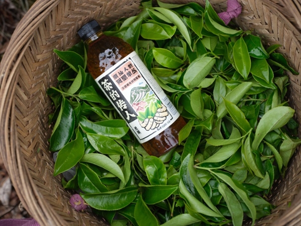 5万瓶茶上市秒光！年轻人为何爱上瓶中名茶？ 
