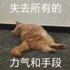 年轻家庭优选，瑞虎8 PLUS乘势版一车搞定通勤+带娃！ 