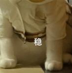 年轻家庭优选，瑞虎8 PLUS乘势版一车搞定通勤+带娃！ 