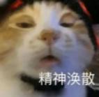 年轻家庭优选，瑞虎8 PLUS乘势版一车搞定通勤+带娃！ 