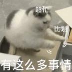 年轻家庭优选，瑞虎8 PLUS乘势版一车搞定通勤+带娃！ 