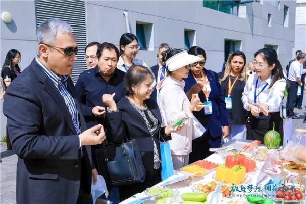 2025潍坊国际风筝会暨潍坊风筝嘉年华全球发布会举行