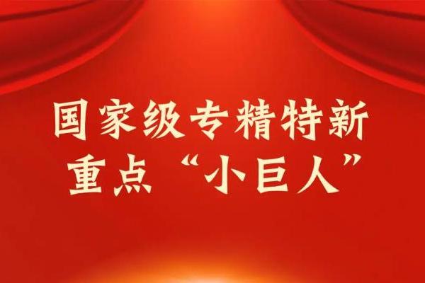 卓世科技荣膺国家级重点 “小巨人” 企业称号 