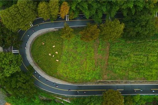 车轮上的山水画卷：2025“犀旺杯”环黄山国际公路自行车赛火热进行中