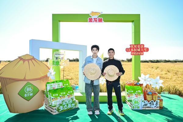 巅峰较“粮”，超越“世界米王”日本越光米，金龙鱼6步鲜新米上市 