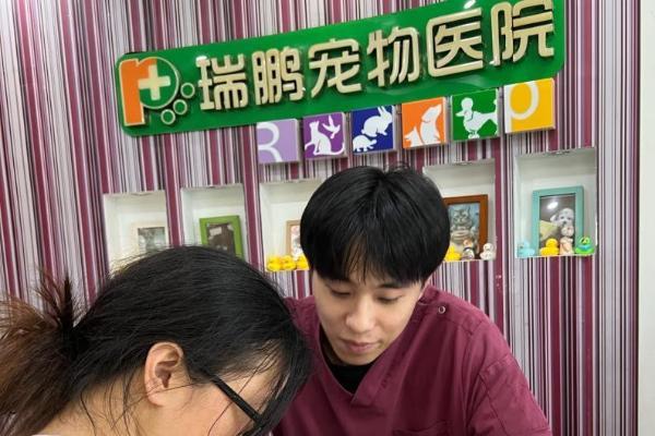 个人价值绽放，企业体系护航：李泳霖在新瑞鹏客服体系的跨界成长 