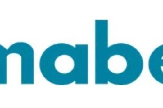 全球100个AI应用案例｜Altair 人工智能技术助力MABE预测消费者行为，实现设备性能优化 