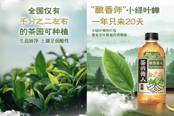 上市即售罄，茶的传人这款爆品藏着无糖茶的破局密码 