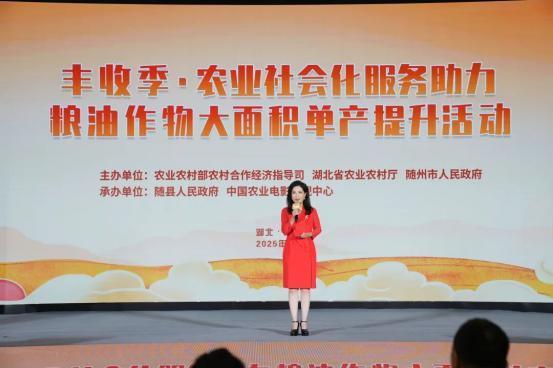 粮油提单产，随县添活力，看农服“汇”就丰收图景！