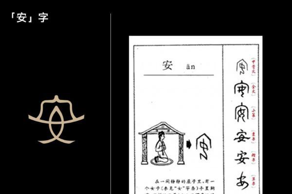 以东方美学，暖科技肌理：黛安蒂品牌视觉战略升级正式发布 
