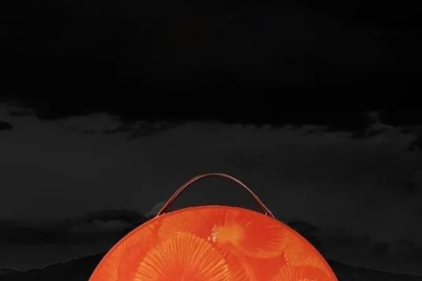 真心寻找另一半 