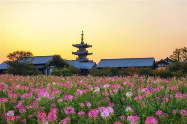 黄金周送真黄金！无锡拈花湾“金”喜引爆十周年，打造双节活动盛宴 
