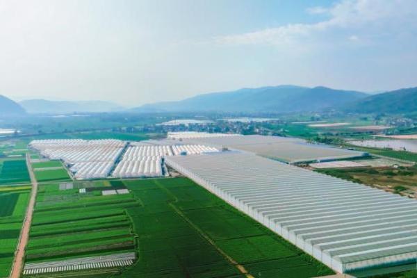 春沐源科技农业CEO赖赣峰出席亚洲国际果蔬展圆桌会议 阐述现代科技农业发展新理念 