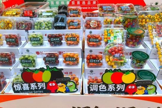 春沐源科技农业CEO赖赣峰出席亚洲国际果蔬展圆桌会议 阐述现代科技农业发展新理念 