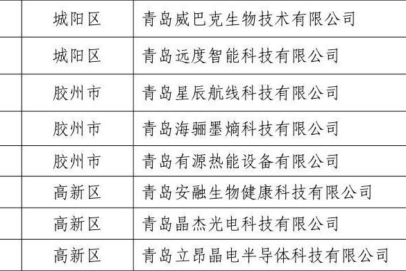 青岛跃东新能源荣膺“种子独角兽”，引领绿色出行新未来 