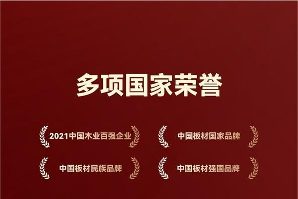 国字号双誉加冕！鹏鸿以生态板为基，多元产品矩阵领跑全国市场 