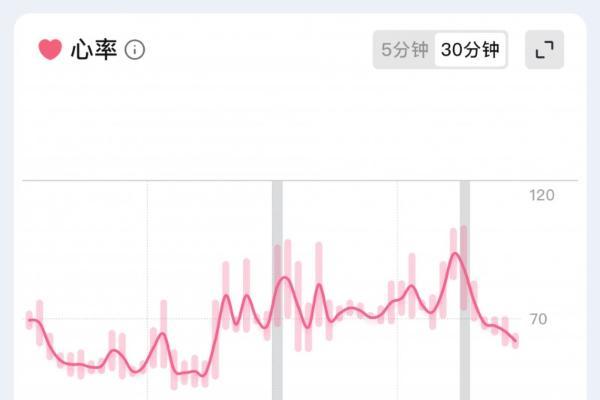 RingConn智能戒指携手上海射击射箭运动中心，以科技监测助力全运会科学备战 