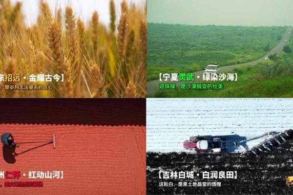 2025年《中国农民丰收节晚会》首推“四地联动”，共绘丰收画卷  