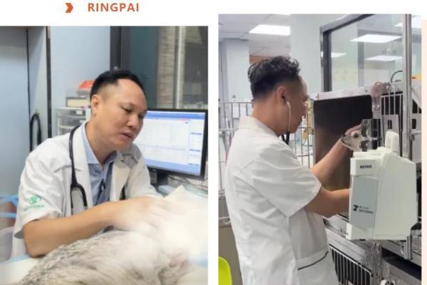 瑞派宠物医生：以仁心守护无言生命，用专业托举宠物健康温情时光 