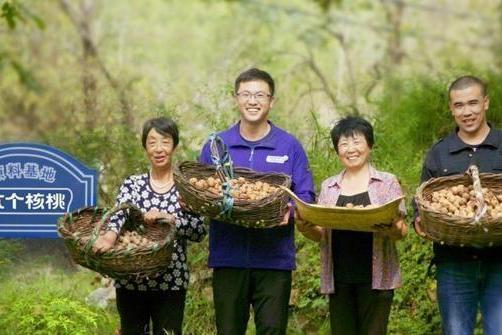 核桃结出 “致富果”，六个核桃产业帮扶铺就农民致富路 