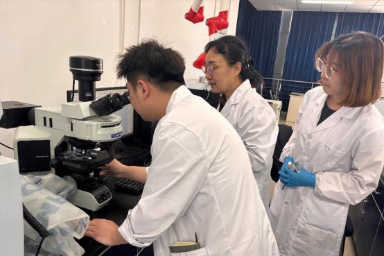 重磅！共生源集团敲钟上市，引领益生菌行业变革 