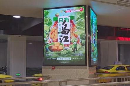 涪陵榨菜 “只有乌江”升级亮相，读懂出行与健康需求 