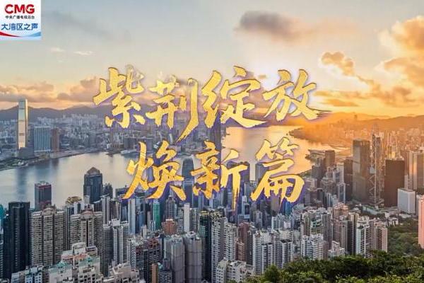 焕新出彩，香港奋进前行！《紫荆绽放焕新篇》上线 