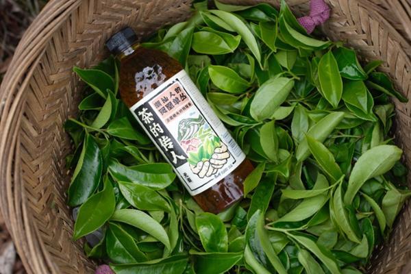5万瓶茶上市秒光！年轻人为何爱上瓶中名茶？ 