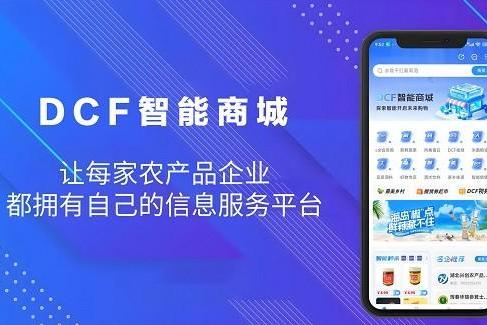 合规筑基，靠谱之选：DCF AI智能商城的可持续发展之路 