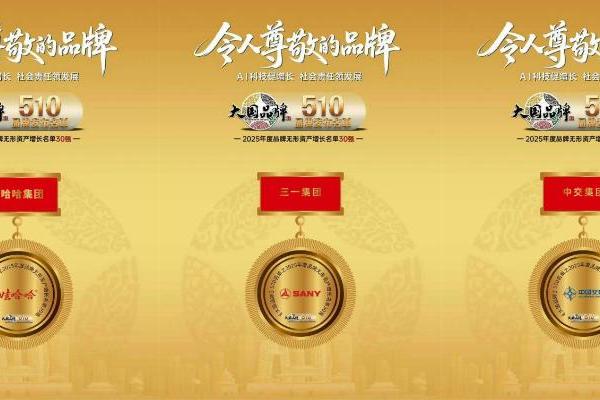 2025年度品牌无形资产增长（首批）30强发布 
