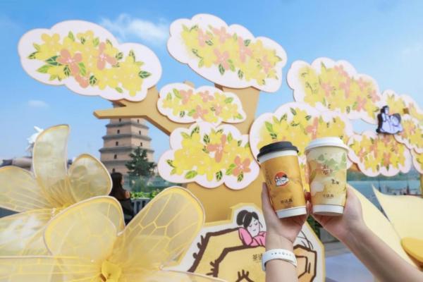 九周年再出发，茶话弄重做桂花风味 