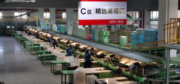 从《千金要方》到贞观食养，古老养生智慧让晋州梨飘香世界 